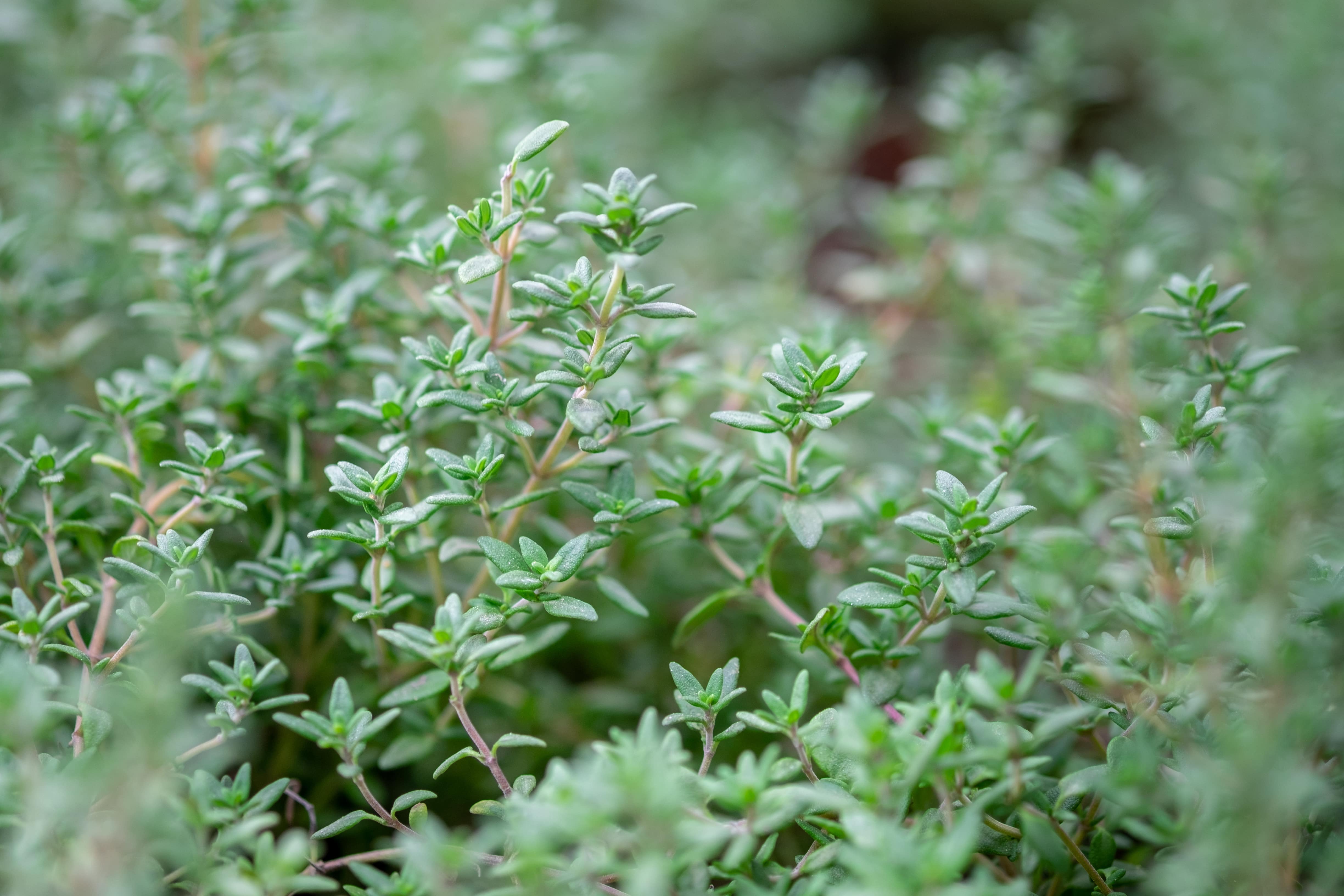 AdobeStock_242411900-min.jpeg